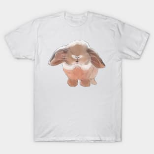 Holland Lop Brown Face _ Bunniesmee T-Shirt